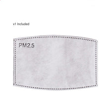 Load image into Gallery viewer, Reusable Face Mask with Filter Pocket & PM 2.5 Filters β Adjustable & Breathable