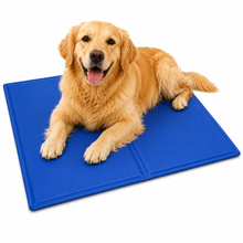 Load image into Gallery viewer, Generise Cooling Gel Mat - 50cm x 40cm- Blue