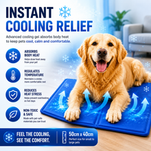 Load image into Gallery viewer, Generise Cooling Gel Mat - 50cm x 40cm- Blue