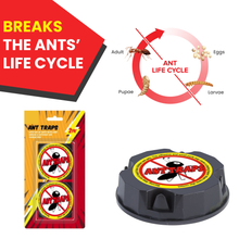 Load image into Gallery viewer, Generise Ant Trap Bait Stations 2 Pack
