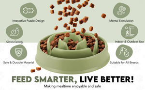 Generise Slow Feeder Dog Bowl