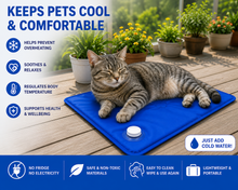 Load image into Gallery viewer, Cool &amp; Chill Pet Cooling Mat - Just Add Cold Water - Reusable Self-Cooling Mat for Dogs, Cats &amp; Pets
