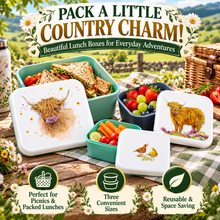 Load image into Gallery viewer, Puckator Jan Pashley Highland Coo Set of 3 Lunch Boxes – Highland Cow Food Storage &amp; Snack Containers