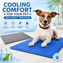 Load image into Gallery viewer, Pet Cooling Gel Mat in Blue or Grey – 40cm x 30cm with Free Delivery