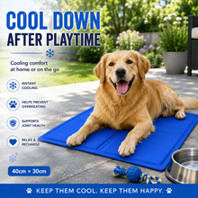 Load image into Gallery viewer, Pet Cooling Gel Mat in Blue or Grey – 40cm x 30cm with Free Delivery