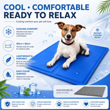 Load image into Gallery viewer, Pet Cooling Gel Mat in Blue or Grey – 40cm x 30cm with Free Delivery