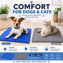Load image into Gallery viewer, Pet Cooling Gel Mat in Blue or Grey – 40cm x 30cm with Free Delivery