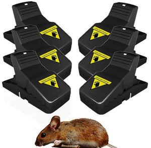 Mouse Trap 6 Pack - No More Rodents!