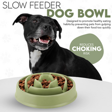 Load image into Gallery viewer, Generise Slow Feeder Dog Bowl