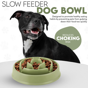 Generise Slow Feeder Dog Bowl