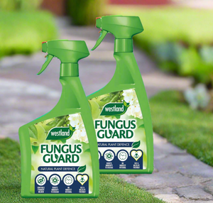 Westland Fungus Guard RTU – 800ml Ready-to-Use Spray