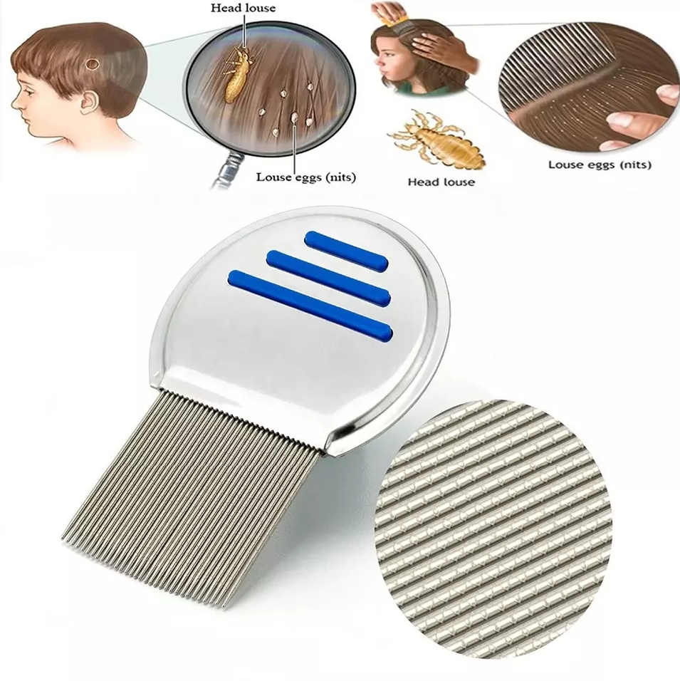 Lice comb online